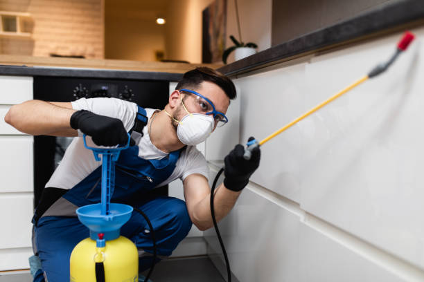 Best Ant Control Services  in Rancho Viejo, TX