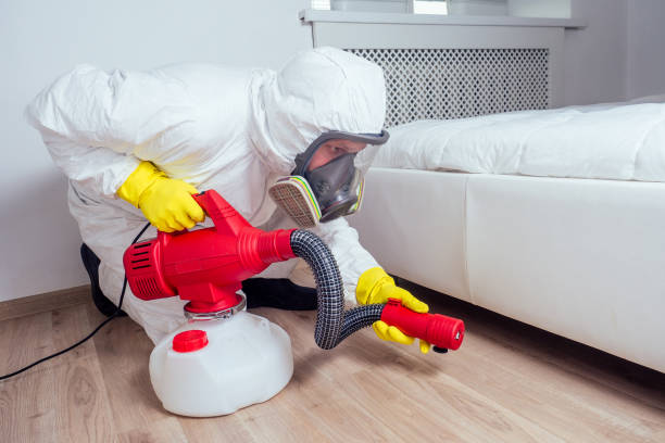 Best Flea Control Services  in Rancho Viejo, TX