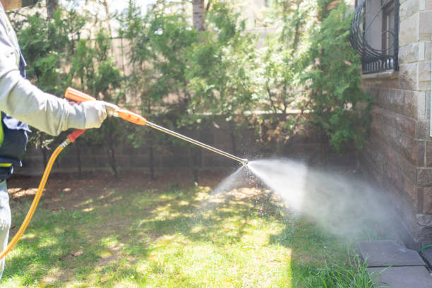 Best Emergency Pest Control  in Rancho Viejo, TX