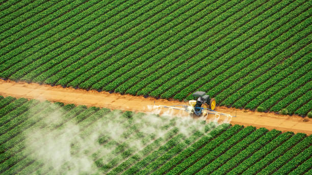 Pest Prevention Services in Rancho Viejo, TX