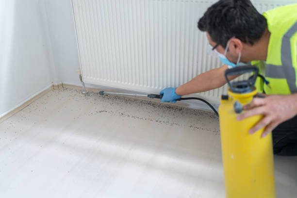Best Local Pest Control Services  in Rancho Viejo, TX